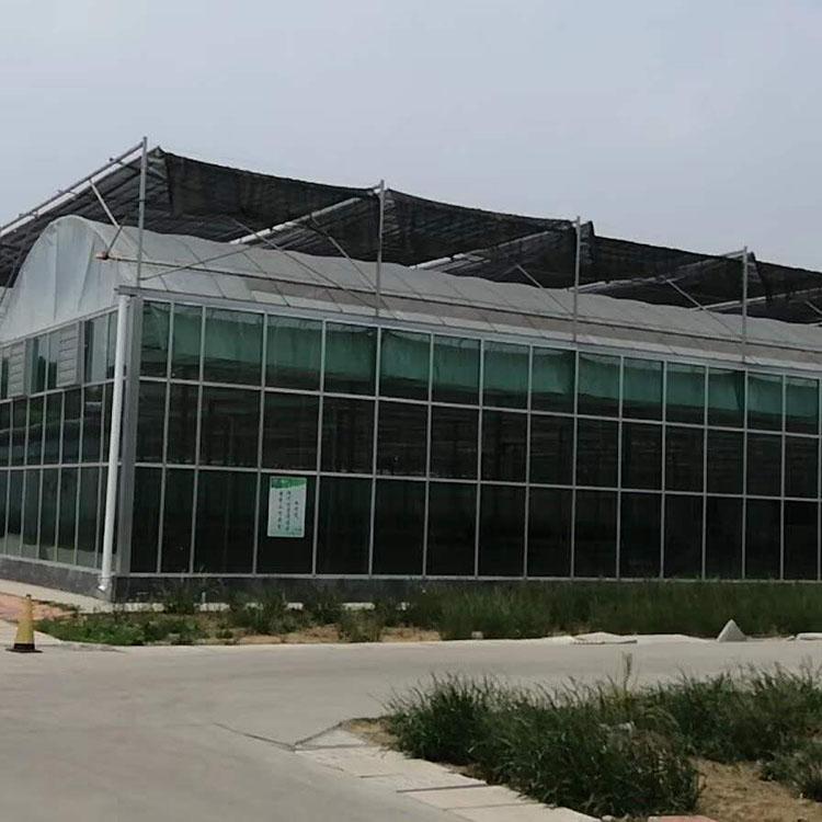 连栋智能大棚 薄膜大棚建设 温室建设