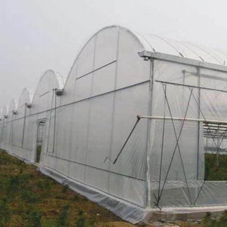 智能温室建设 薄膜大棚承建 连栋智能温室