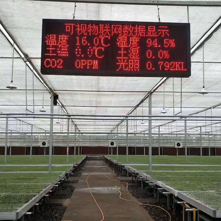 养殖温室大棚 建设智能薄膜温室 智能薄膜温室工程