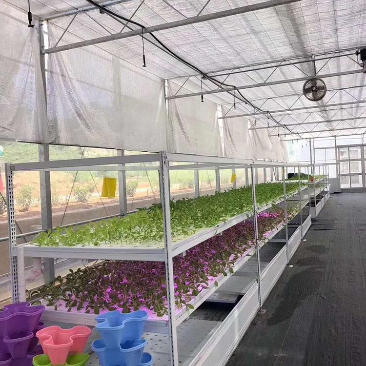 养殖温室大棚 承建薄膜温室 薄膜温室设计安装