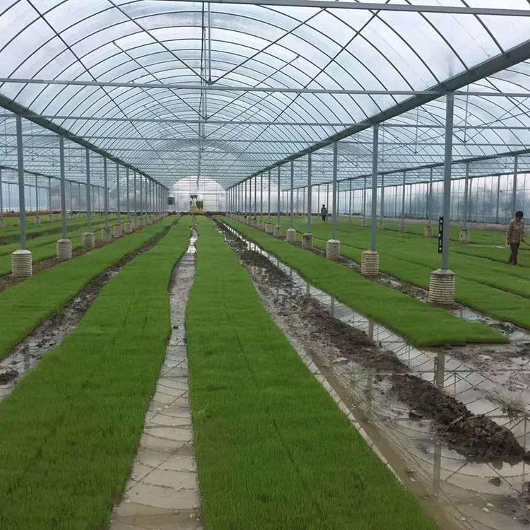 新型温室大棚 安装连栋薄膜温室 连栋薄膜温室设计安装
