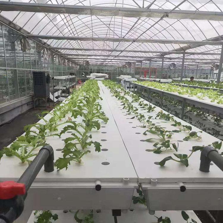 蔬菜种植温室 承建薄膜温室 薄膜温室报价