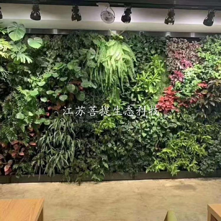 浙江仿真植物墙公司  绿植墙制作 立体绿化墙 垂直绿化墙 仿真植物墙设计施工 绿植墙厂家