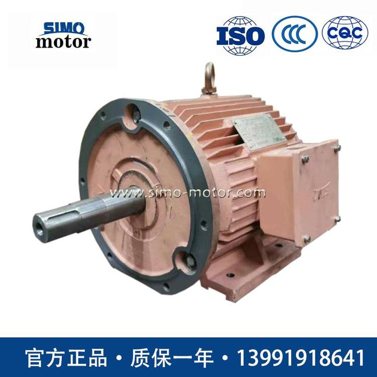 YFD295-4 45KW 西安西玛电机厂内燃机车通风机电机