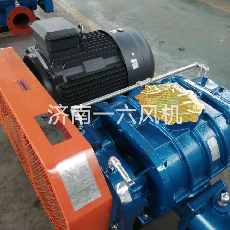 低噪音水曝气专用三叶罗茨风机水产养殖专用罗茨增氧机污水处理罗茨鼓风机厂家