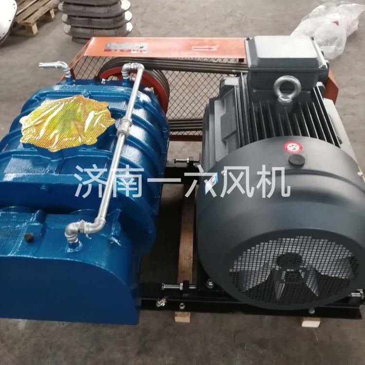 供应气力输送专用罗茨鼓风机沼气增压罗茨鼓风机生活无数次黑醋栗罗茨风机厂家