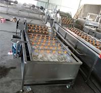冷冻肉类 鱼类 冷冻果蔬连续式解冻机 加热循环系统解冻设备生产厂家