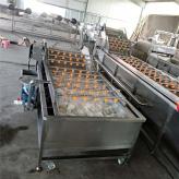 冷冻肉类 鱼类 冷冻果蔬连续式解冻机 加热循环系统解冻设备生产厂家