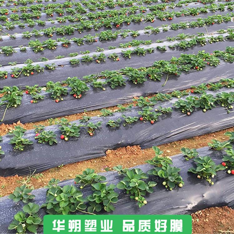 打孔地膜 甘肃地膜 农用地膜价格