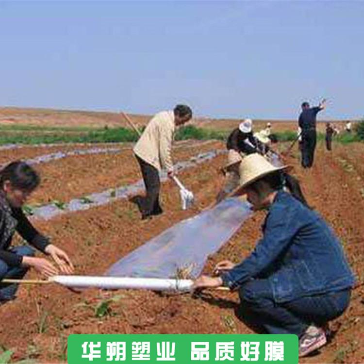农用地膜 陕西地膜 黑地膜厂家