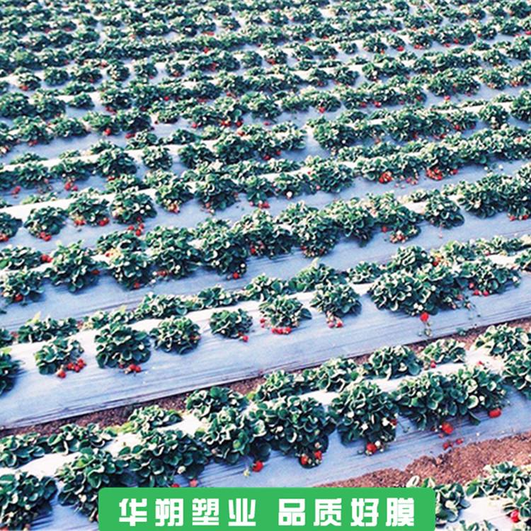 银黑地膜 甘肃地膜 农用地膜价格