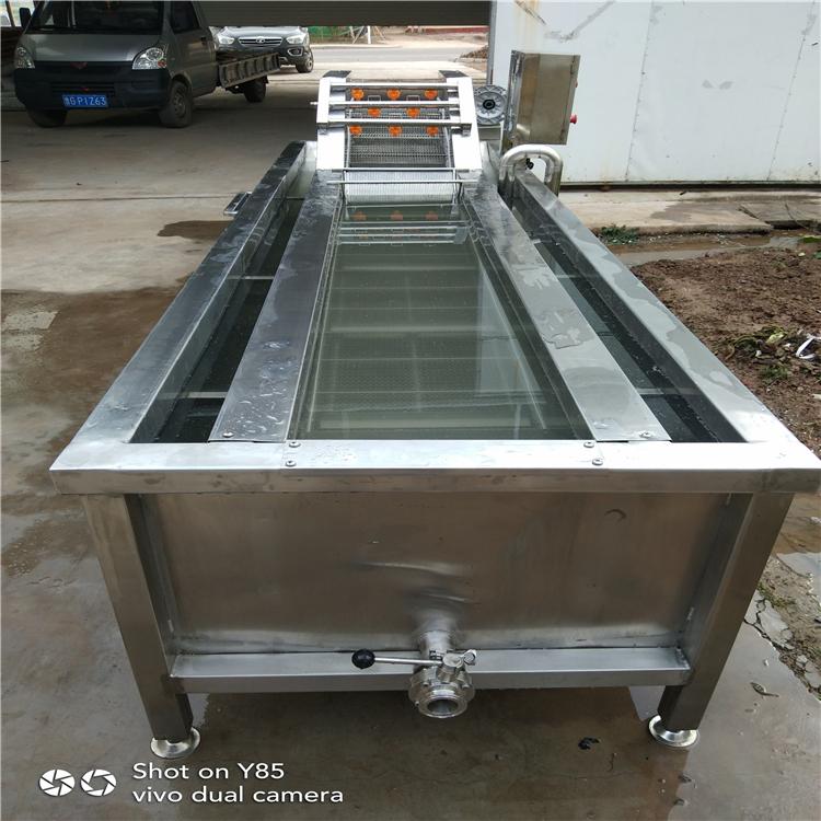 不锈钢清洗机 水果加工清洗设备 芒果大姜气泡清洗机设备