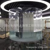 厂家设计定制大型圆柱亚克力鱼缸 亚克力透明鱼缸 海洋馆制作 鸿翔水族馆