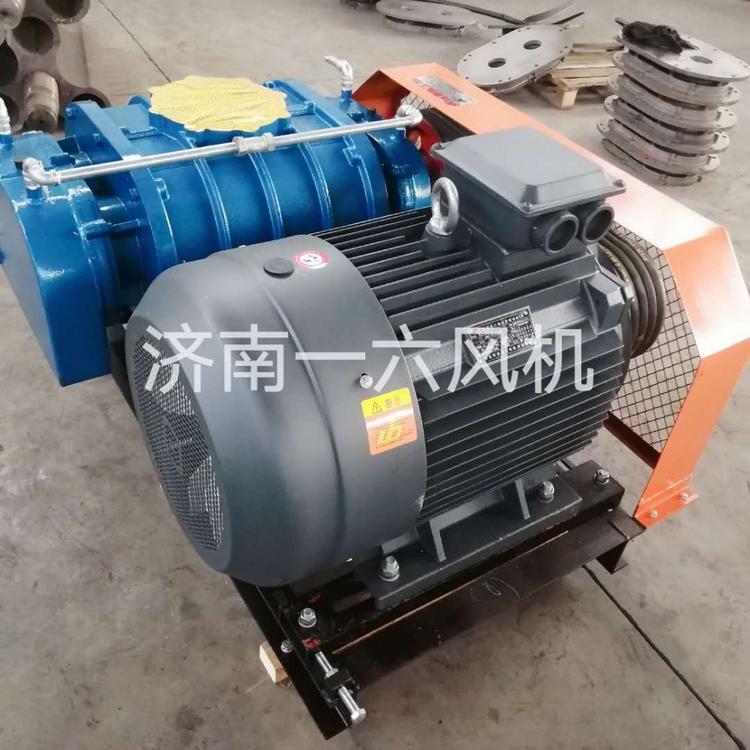 低噪音污水曝气专用三叶罗茨风机气力输送专用罗茨鼓风机特殊气体专用罗茨鼓风机厂家