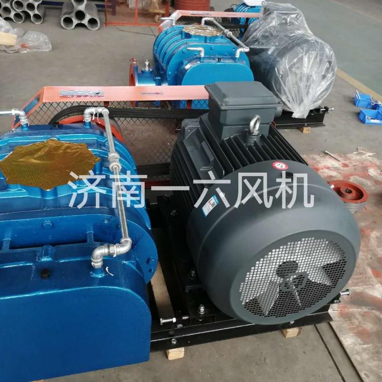 厂家直销物料输送专用罗茨风机化工厂专用罗茨风机气力输送专用罗茨风机厂家