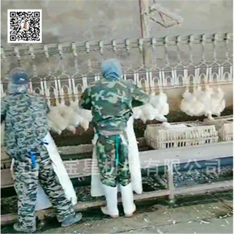 宜昌时杀1000只蛋鸡屠宰流水线 整套模具宰杀设备