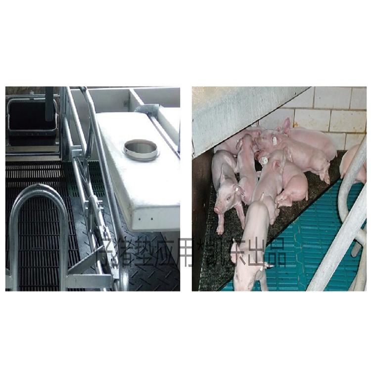 母猪产房防滑垫 青岛凯东母猪产房防滑垫 猪产房防滑保温垫 耐撕裂仔猪育肥垫
