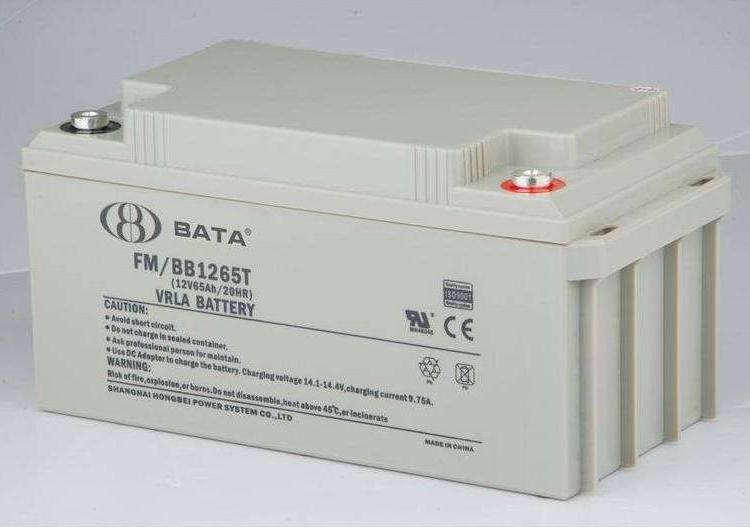 BATA鸿贝蓄电池FM/BB12100T (12V100Ah/20HR)阀控式储能电源