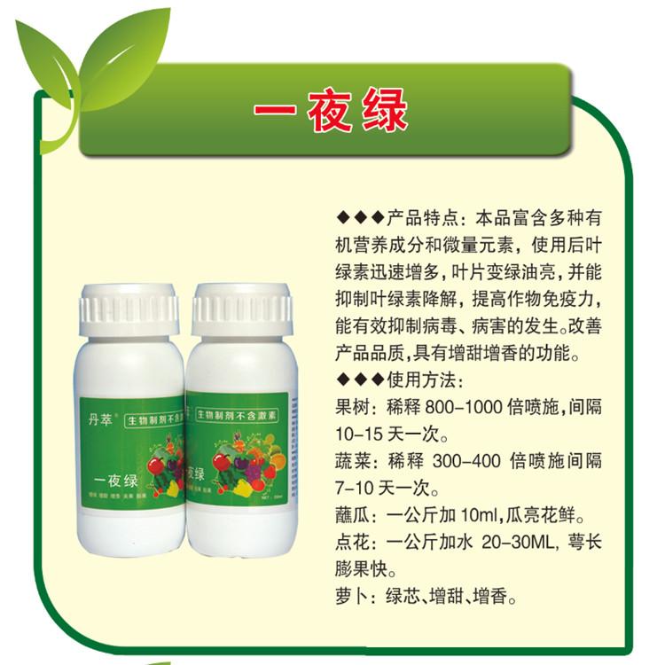 水果专用一夜绿   绿叶膨果防病毒 一叶绿肥料 农伯乐生物制剂  量大从优