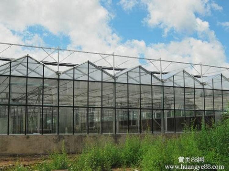 智能温室大棚 阳凯温室支持定制 连栋智能温室报价