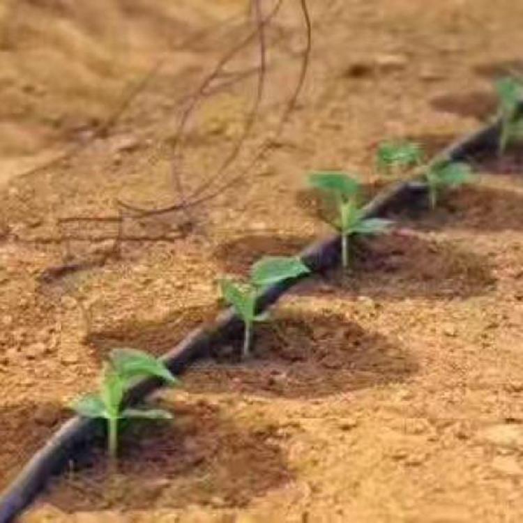 滴灌带厂家 蔬菜灌溉用滴灌带 滴灌带厂家直销