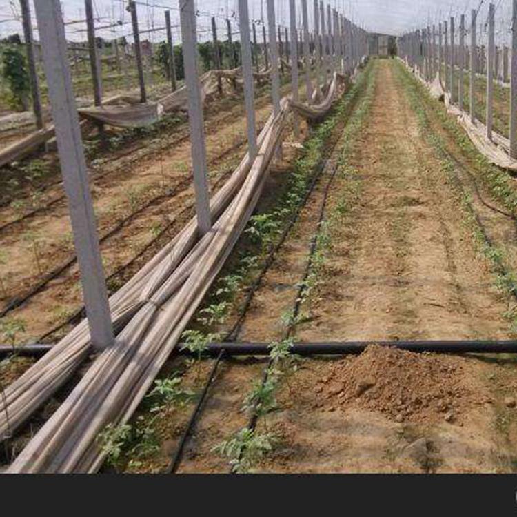厂家直销 迷宫式滴灌带 迷宫滴灌带批发 量大优惠