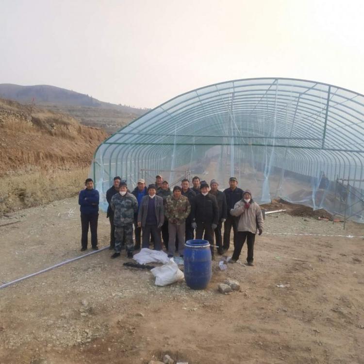 温室养殖大棚肉牛羊陕西养猪蛋鸡养殖大棚可信赖