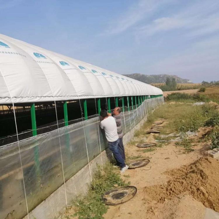 山东肉鸭温室养殖大棚肉牛肉羊养殖大棚上门安装值得信赖猪舍