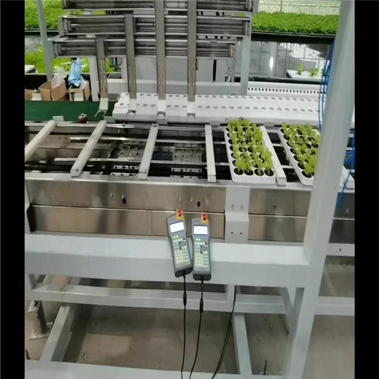 口碑商家提供 水培培叶菜自动化生产系统 叶菜自动生产系统建设 期待合作
