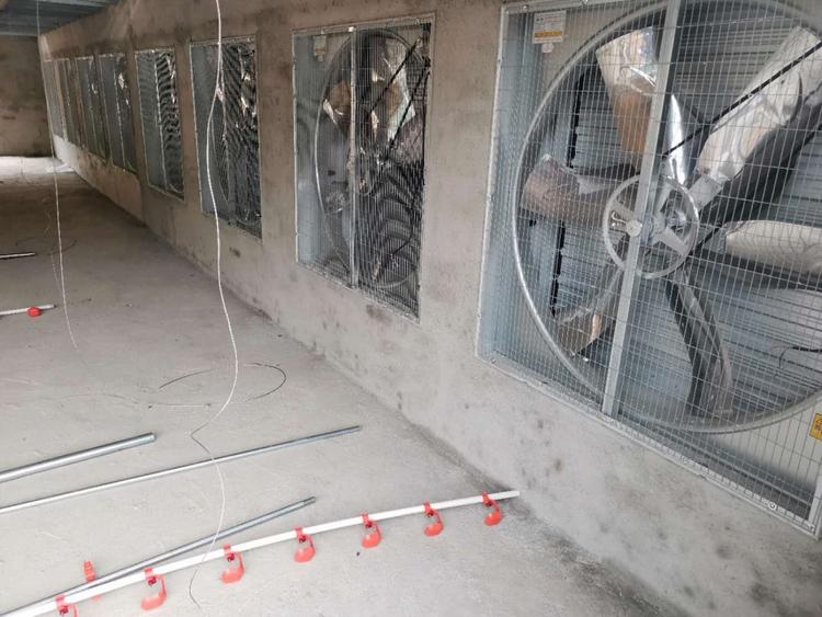潍坊市鸡场降温风机降温水帘厂家现货批发供应