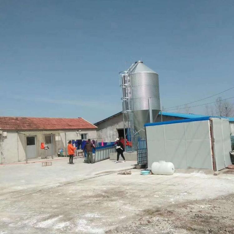 广东湛江猪场料塔图片厂家直销农牧设备农牧设备厂家直销