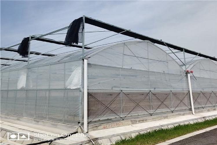 薄膜温室大棚 连栋薄膜温室建造价格