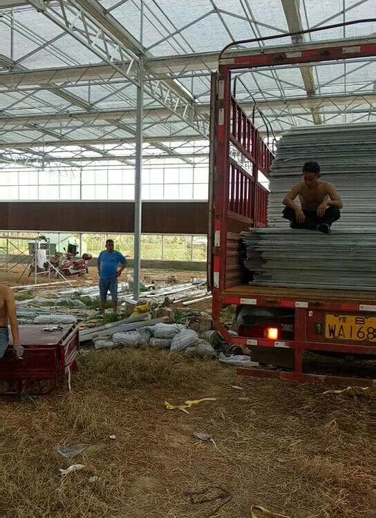 阳光板温室承建-【欢迎致电】温室大棚专业建造