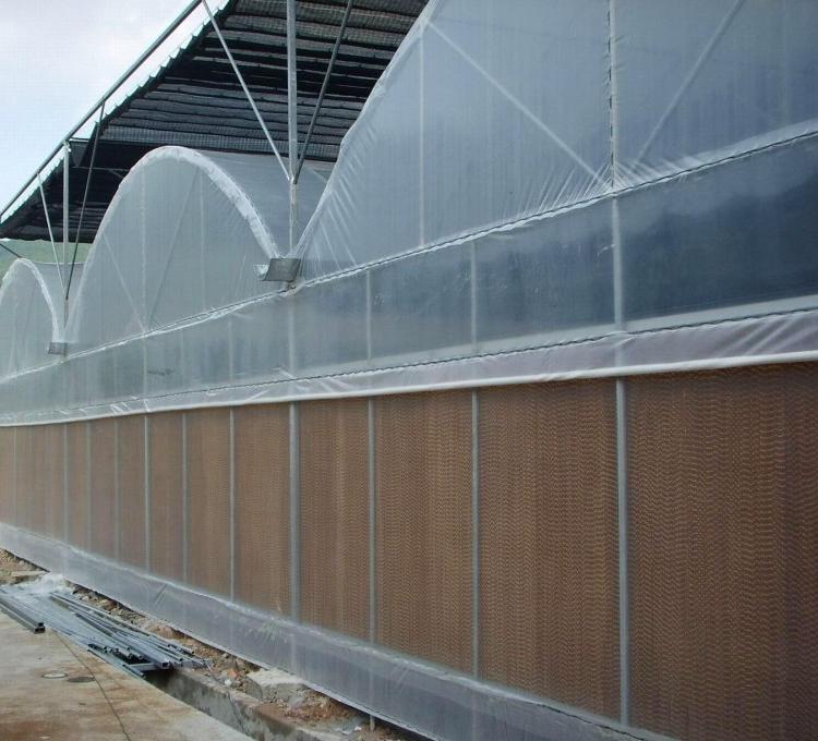 连栋温室大棚-承建连栋大棚-山东山水合