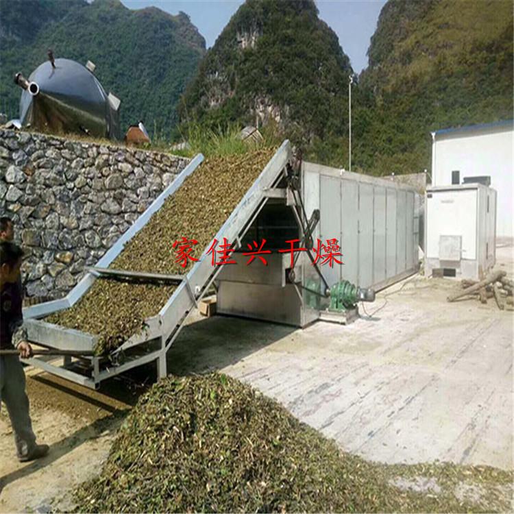 农副产品烘干机设备    金丝皇菊烘干机菊花烘干    野菊花烘干机温度