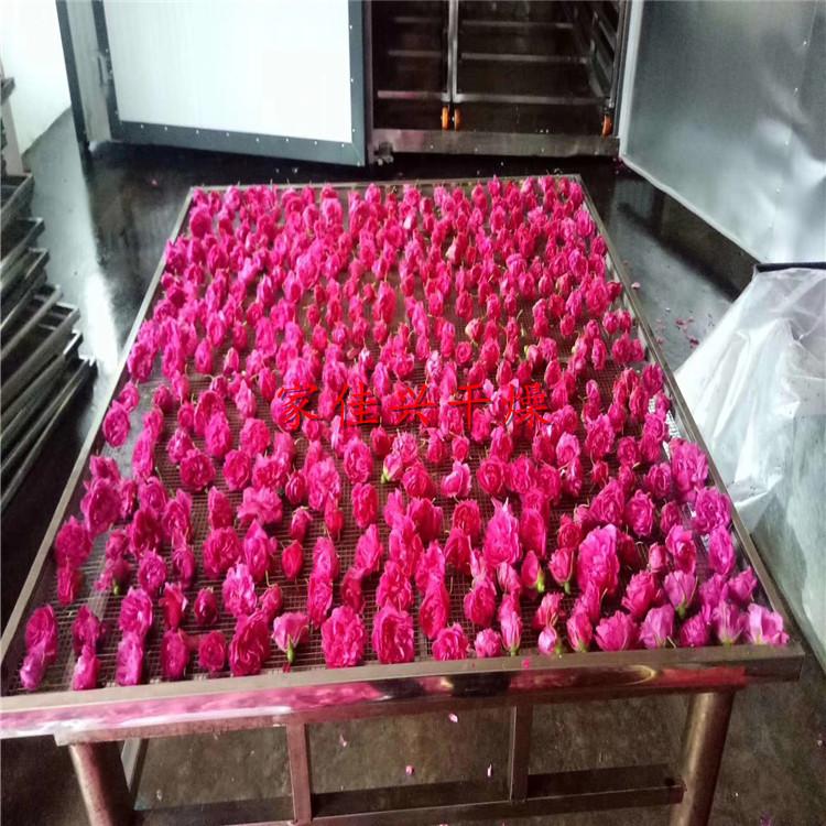 金丝皇菊烘干机使用说明-哪里有农副产品烘干机-野菊花烘干机