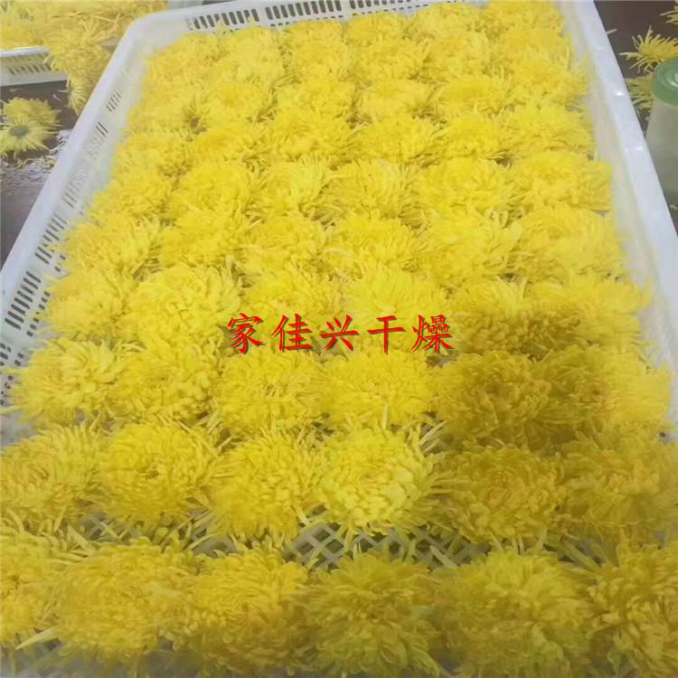 微波菊花烘干机生产厂家  农副产品烘干机厂家直销  金丝皇菊烘干机厂家