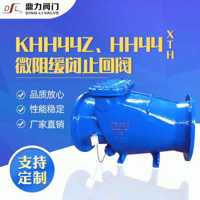 微阻缓闭止回阀 厂家批发供应不锈钢止回阀 微阻缓闭不锈钢止回阀 不锈钢止回阀304