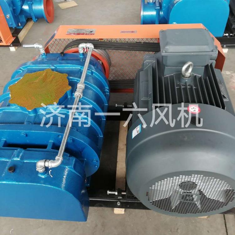 厂家直销机械密封型罗茨鼓风机污水处理罗茨鼓风机水处理专用罗茨鼓风机厂家