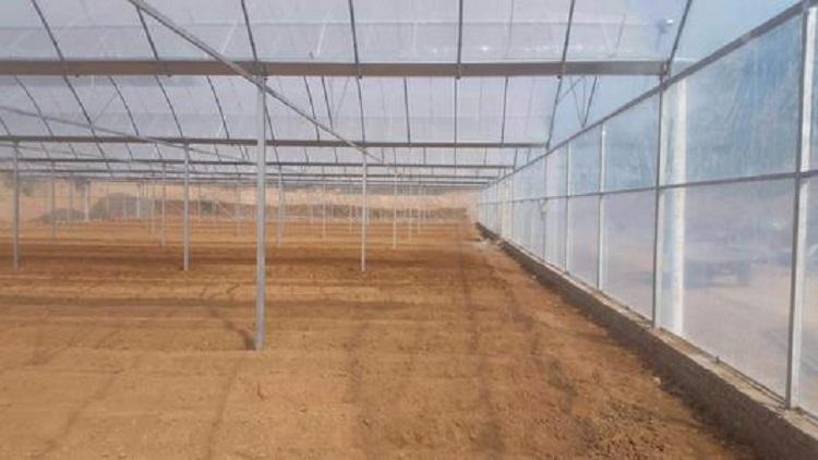 温室大棚圆拱薄膜连栋温室,蔬菜种植阳光板智能温室