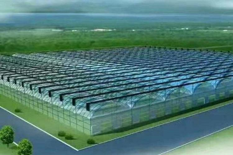 智能温室造价预算 中建 连体智能温室大棚工程