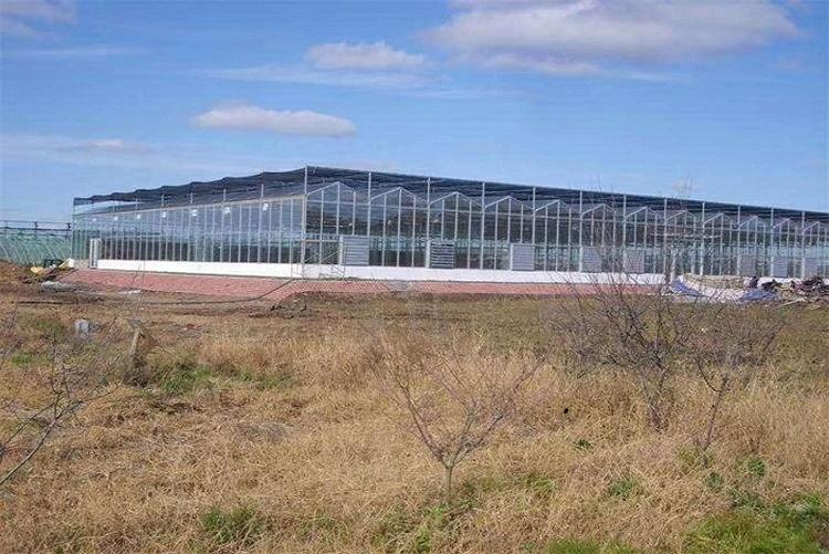山东青州阳凯温室小型玻璃温室安装 生态玻璃温室工程