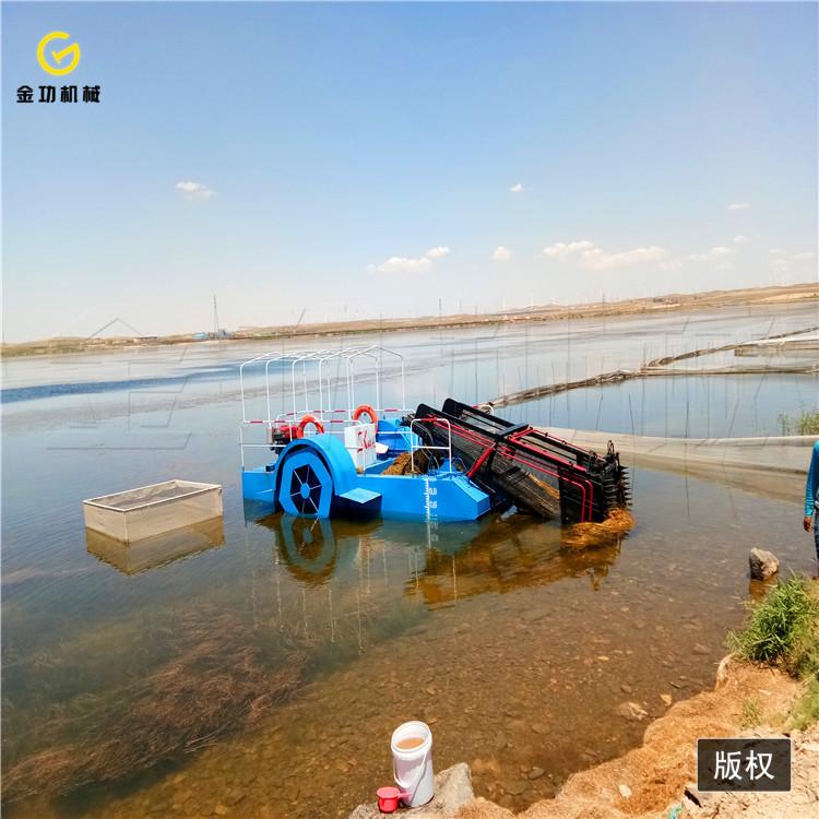 水葫芦水草粉碎打捞船