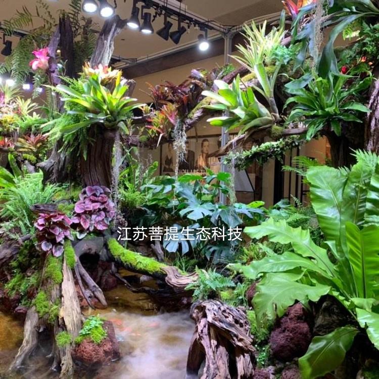 苏州雨林景观 室内热带雨林景观制作  室内生态雨林 室内人工热带雨林制作 水陆景观 热带雨林景观制作