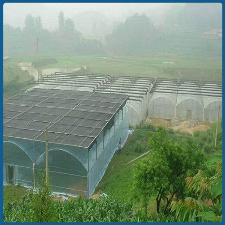 温室大棚 鑫创温室 山东连栋温室建造