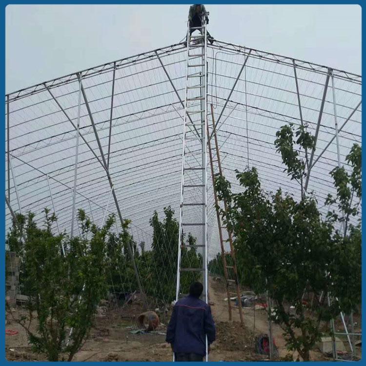 鑫创温室种植大棚 青州樱桃种植大棚承建公司