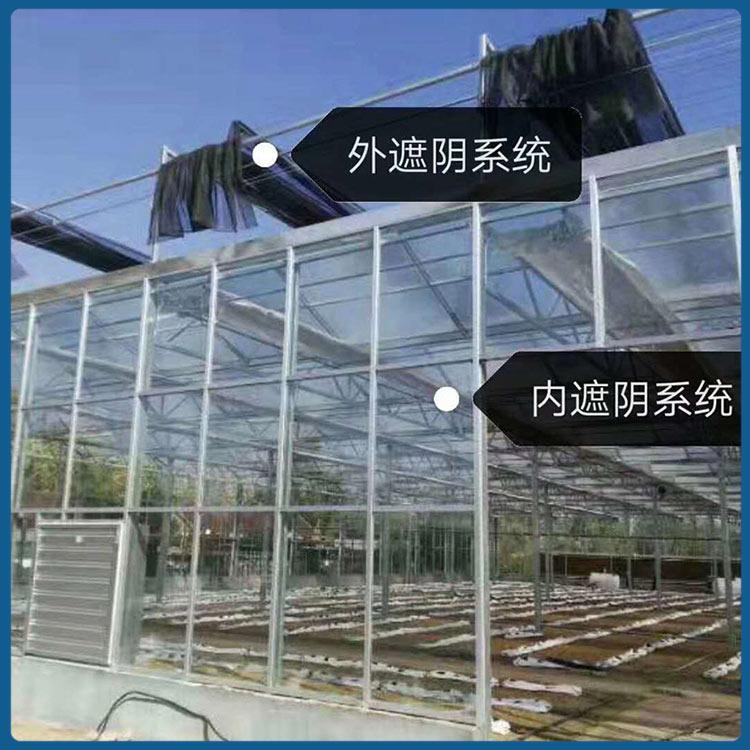 樱桃种植大棚 口碑不错的 青州种植大棚建设