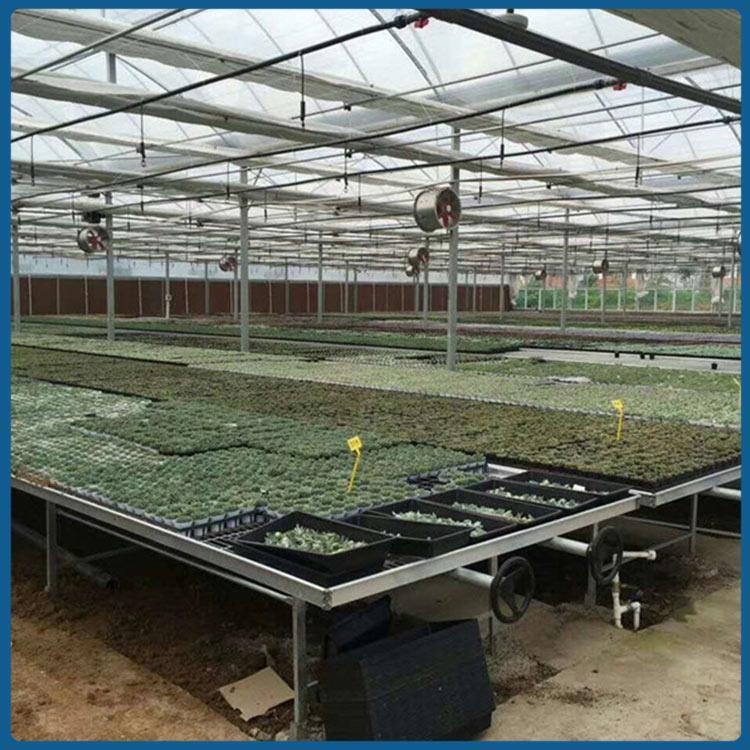 樱桃种植大棚承建公司 山东樱桃种植大棚 施工快捷 樱桃种植大棚
