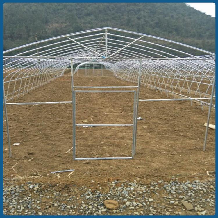 简易大棚建造 山东蔬菜大棚 真材实料
