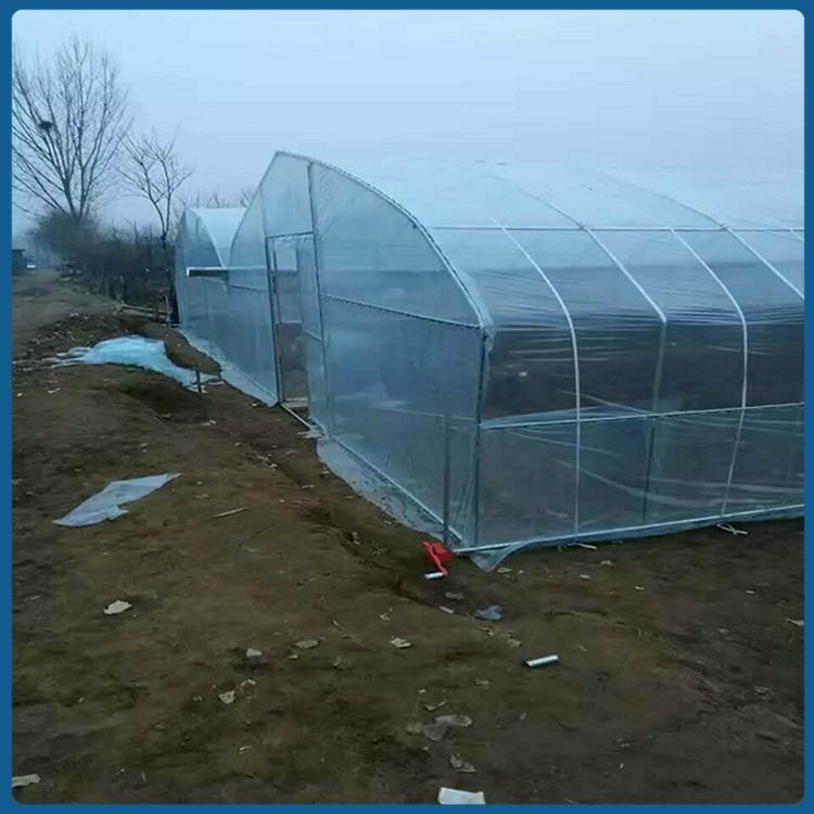 蔬菜大棚 青州简易大棚造价
